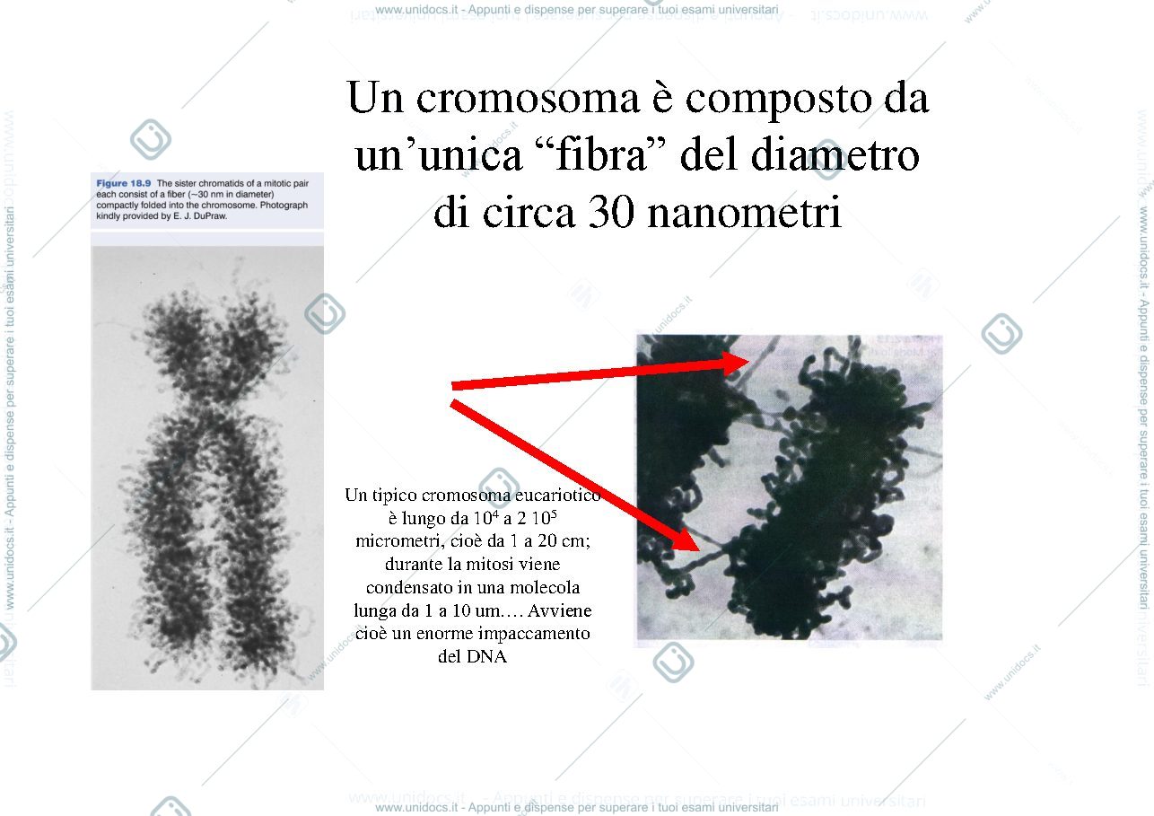 Anteprima pagina 2 — Appunti