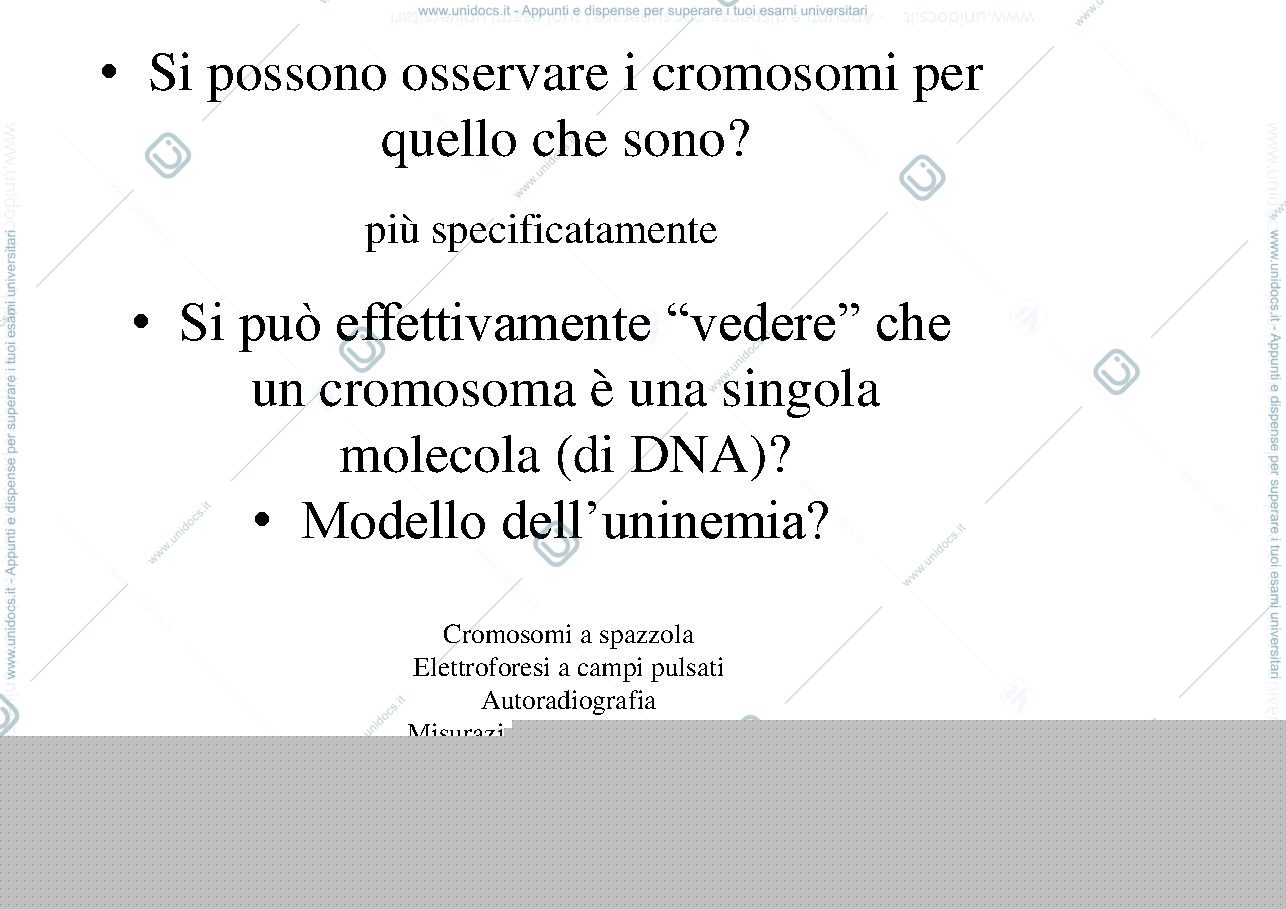 Anteprima pagina 3 — Appunti