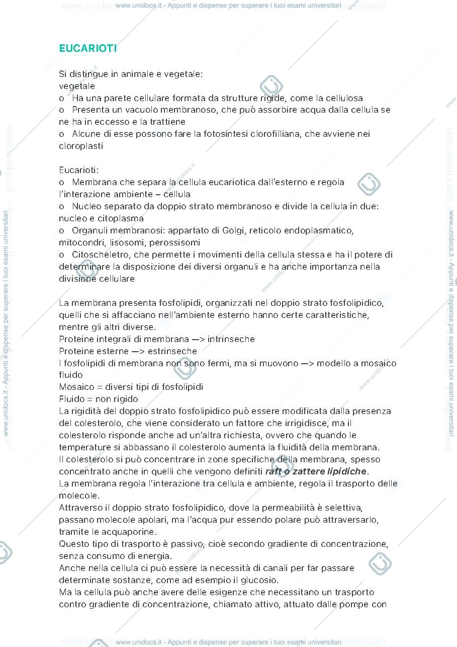 Anteprima pagina 2 — Sbobine biologia