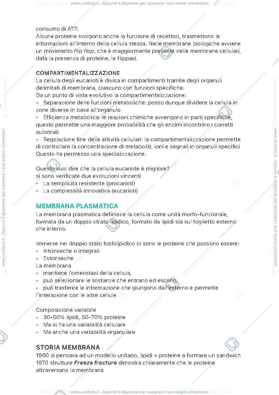 Anteprima pagina 3 — Sbobine biologia