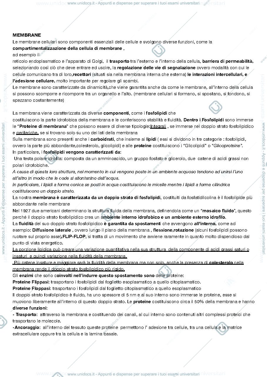 Anteprima pagina 2 — Biologia Animale 