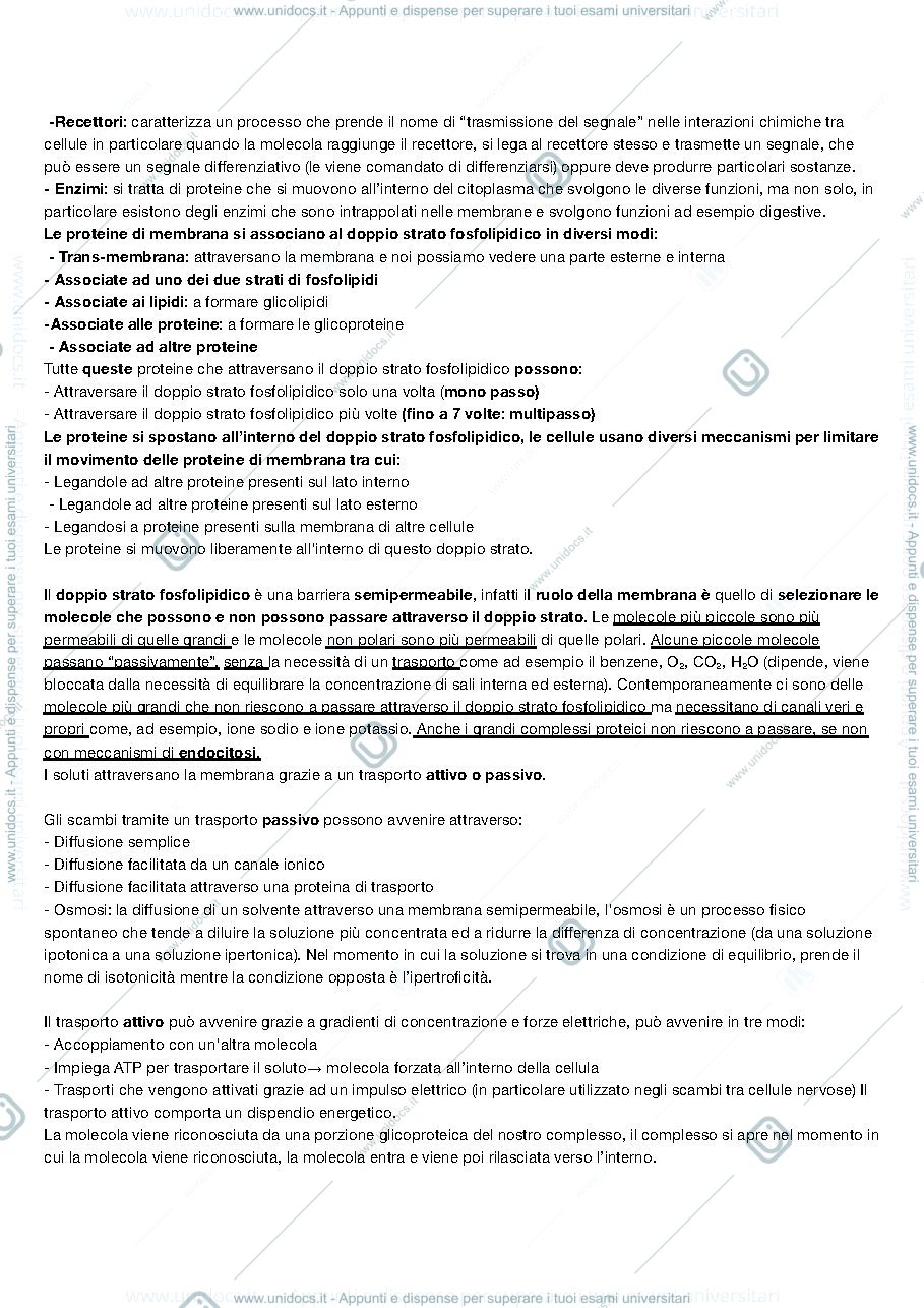 Anteprima pagina 3 — Biologia Animale 