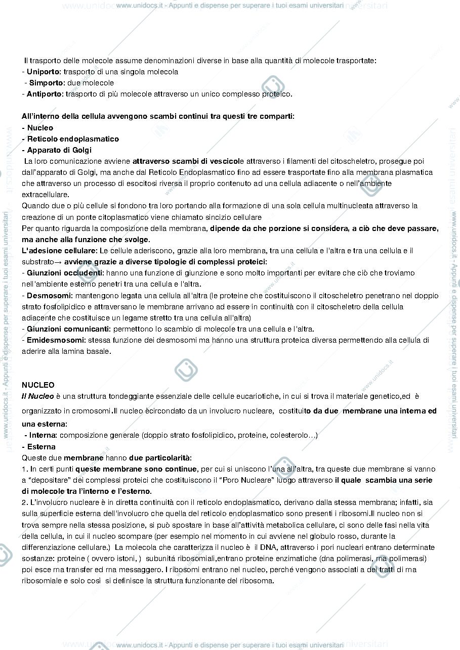 Anteprima pagina 4 — Biologia Animale 