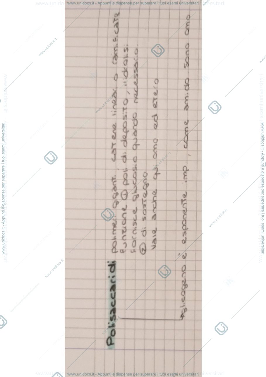 Anteprima pagina 1 — Componenti chimici