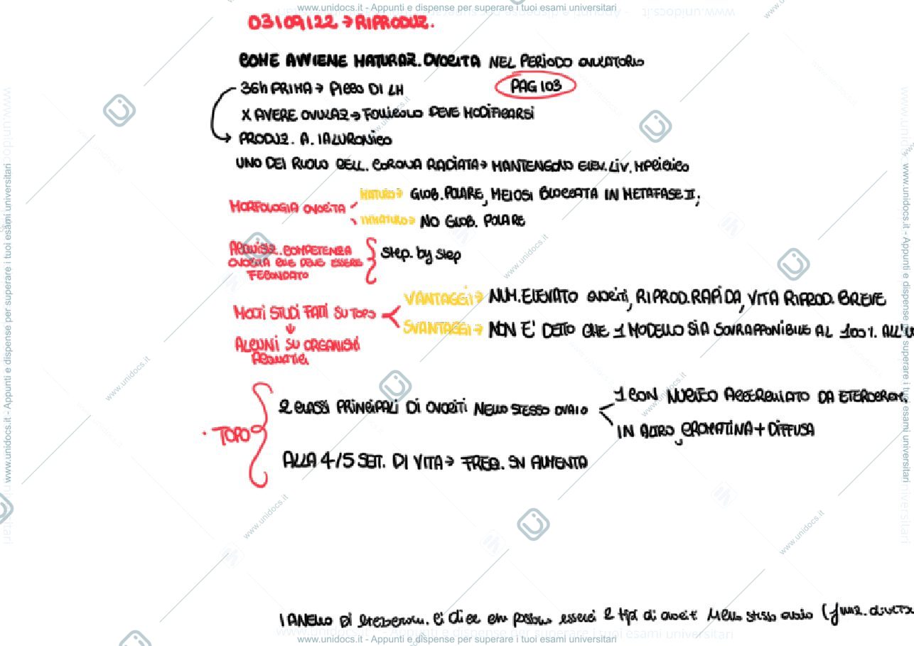 Anteprima pagina 1 — Maturazione ovocita