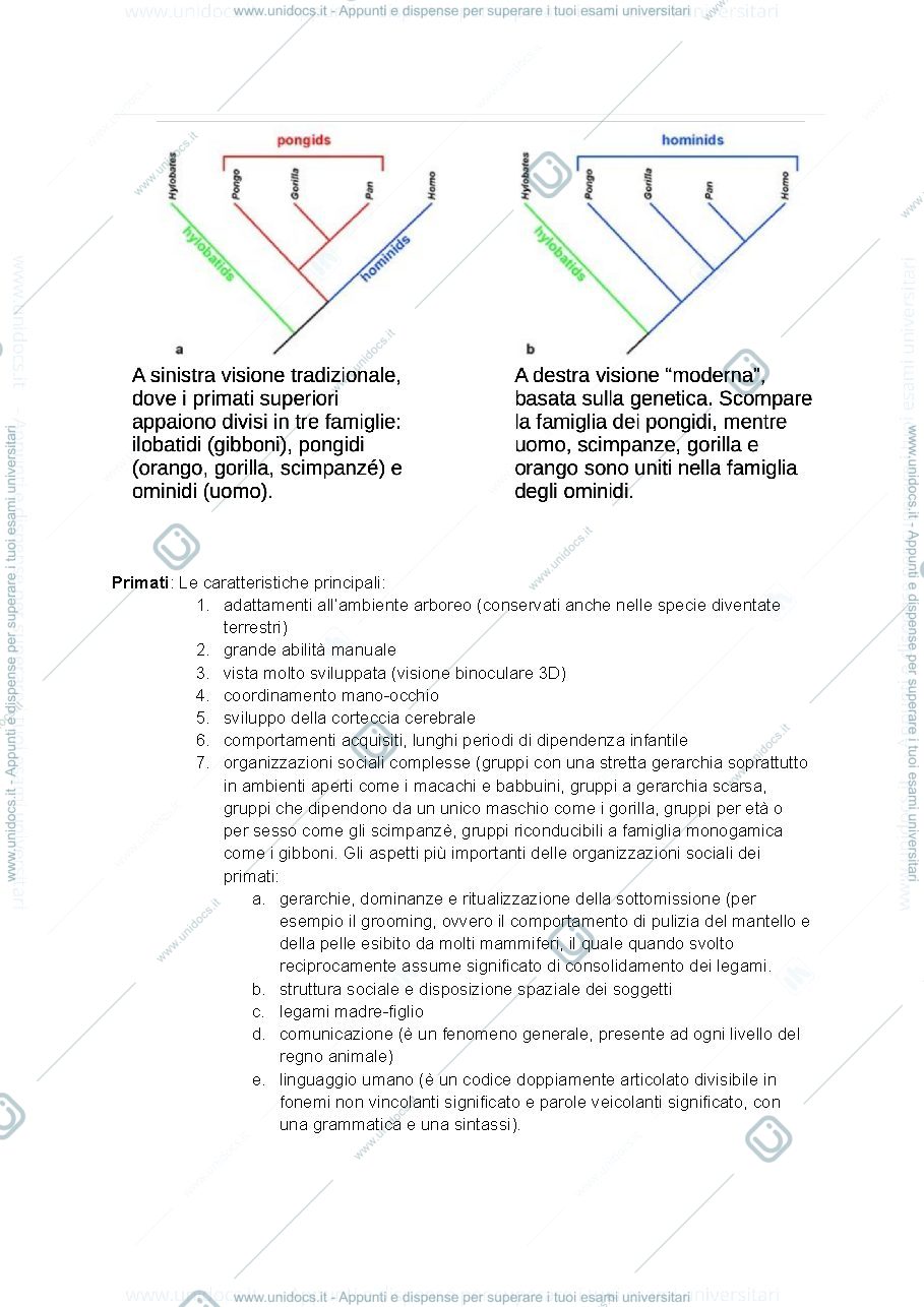 Anteprima pagina 2 — Riassunti Biologia delle Popolazioni Umane