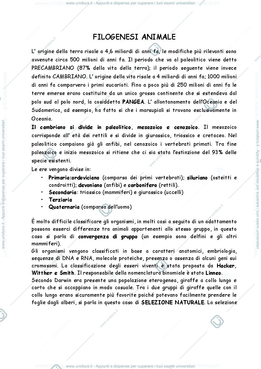 Anteprima pagina 1 — dispensa per filogenesi