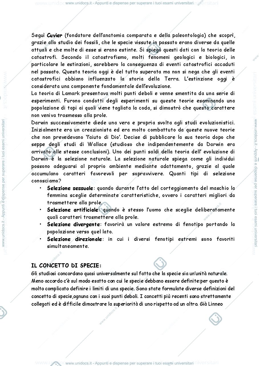 Anteprima pagina 3 — dispensa per filogenesi