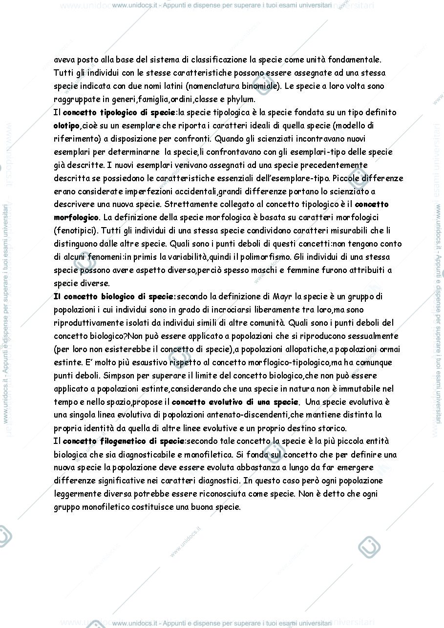 Anteprima pagina 4 — dispensa per filogenesi