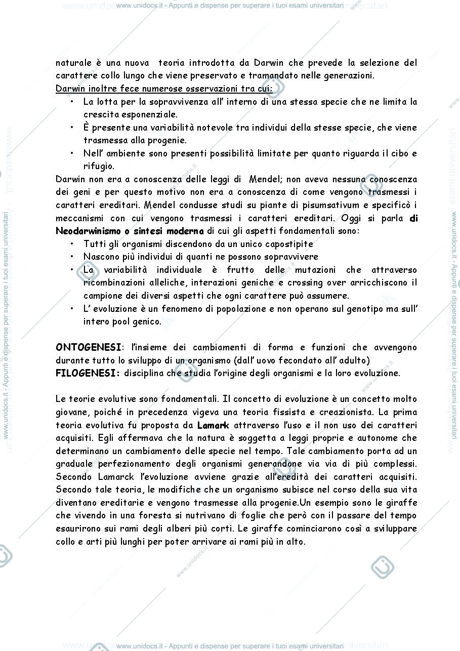 Anteprima pagina 2 — appunti filogenesi
