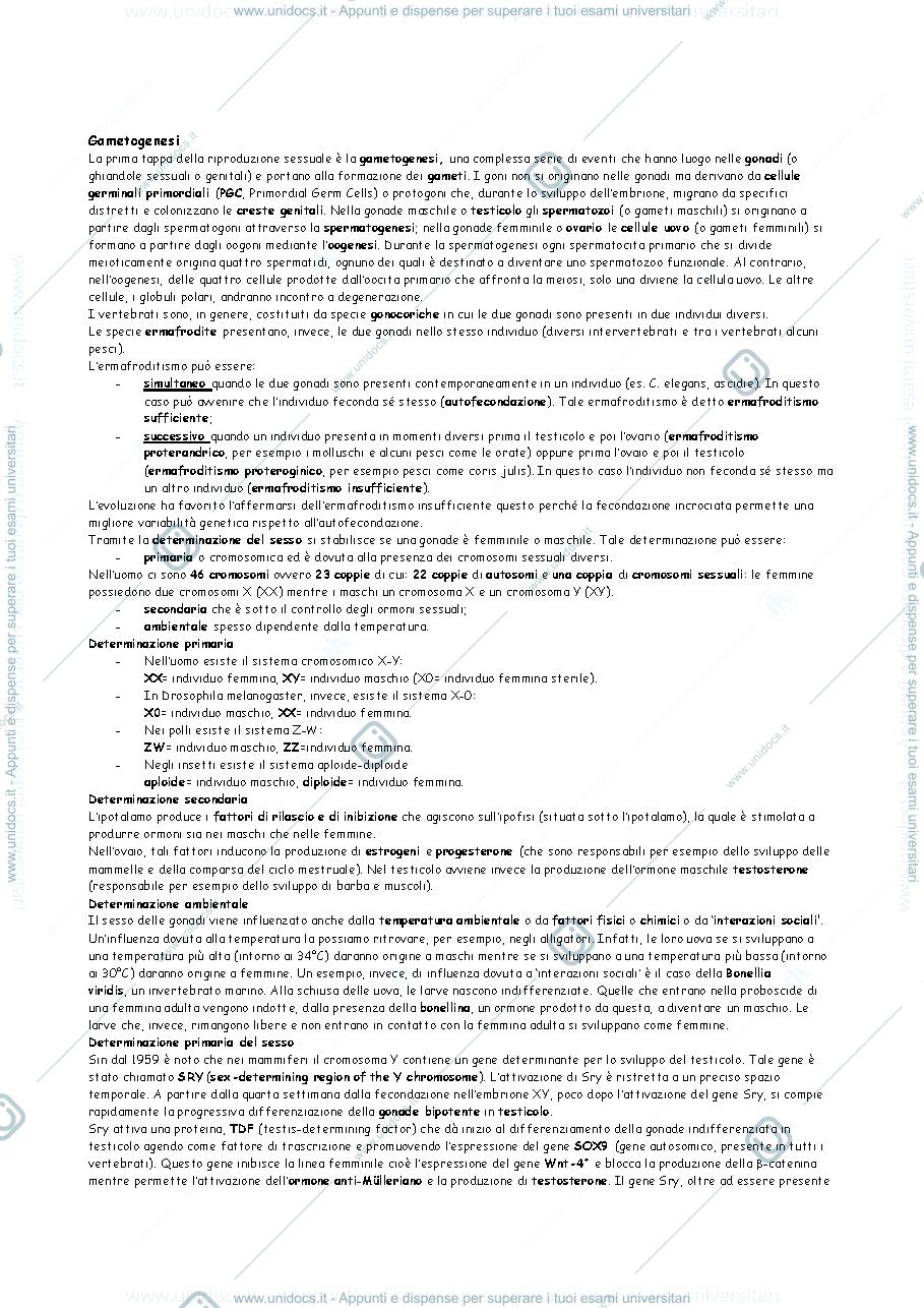 Anteprima pagina 1 — Appunti di biologia dello sviluppo 