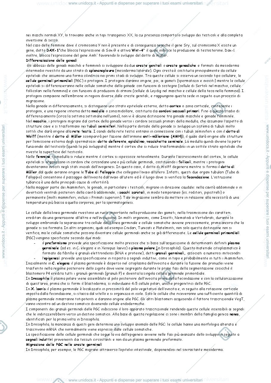 Anteprima pagina 2 — Appunti di biologia dello sviluppo 