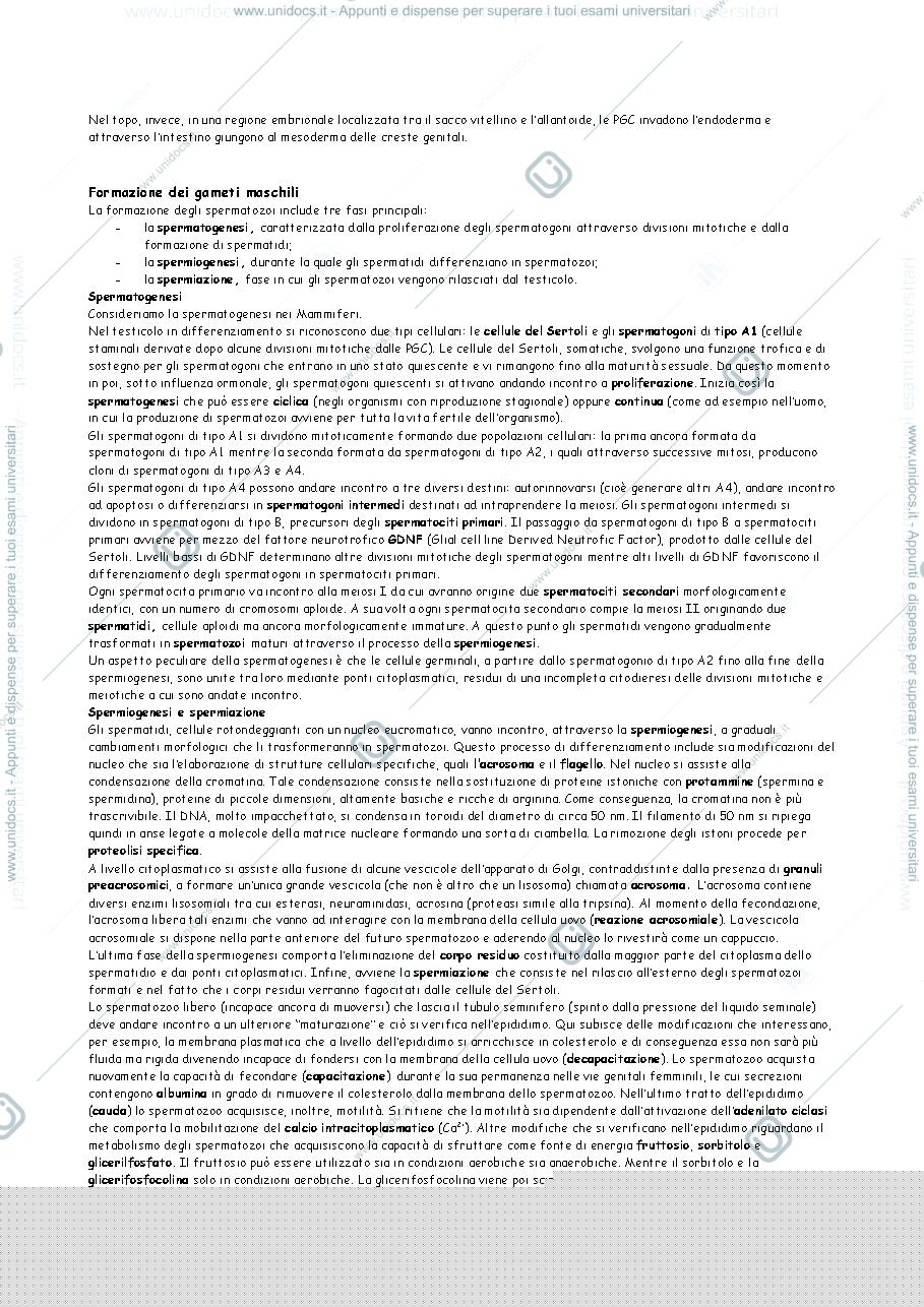 Anteprima pagina 3 — Appunti di biologia dello sviluppo 