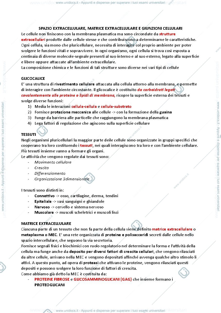 Anteprima pagina 1 — matrice extracellulare biologia molecolare