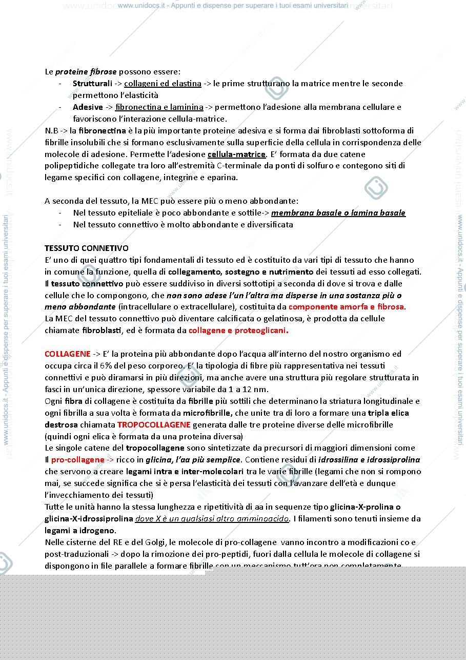 Anteprima pagina 2 — matrice extracellulare biologia molecolare