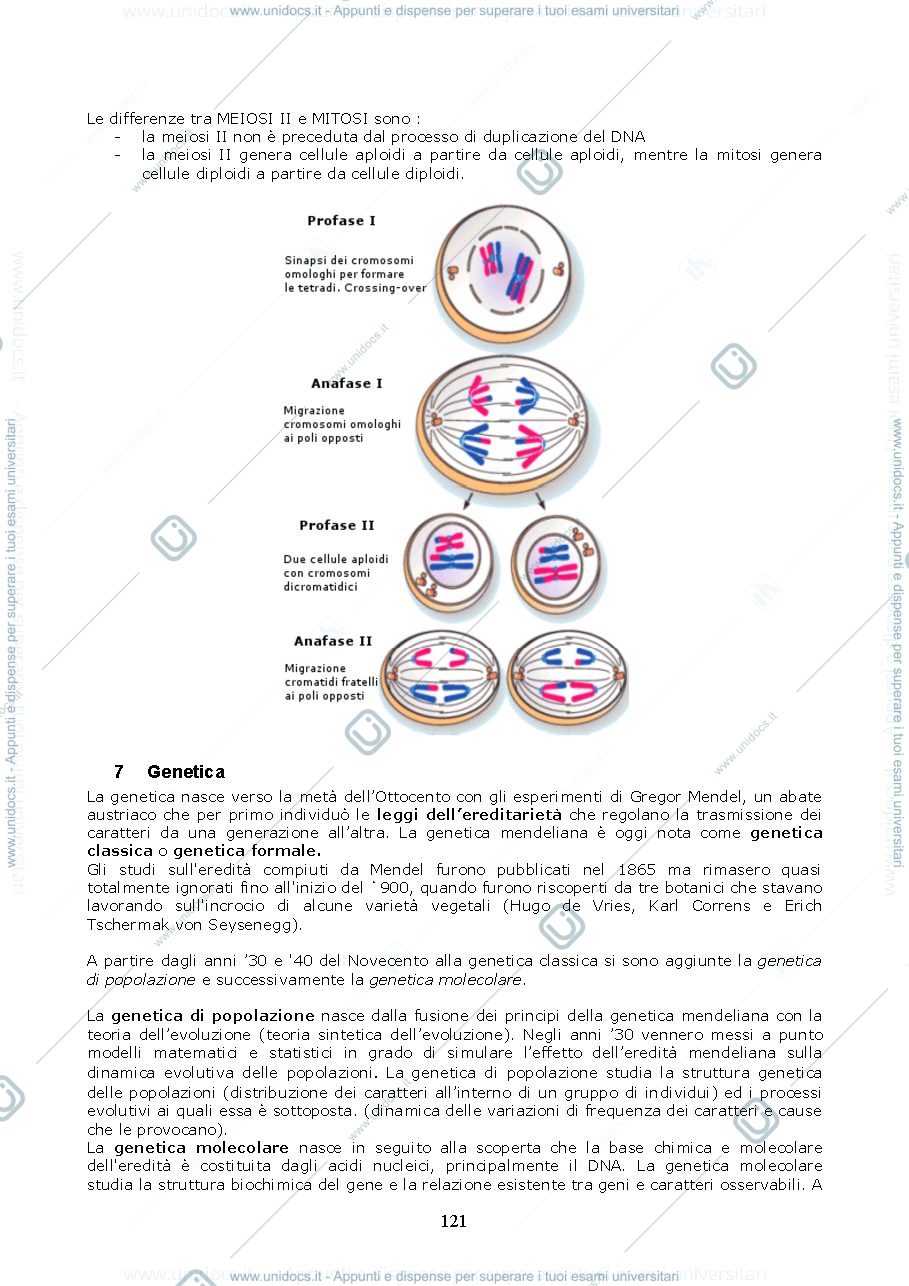 Anteprima pagina 3 — Genetica 