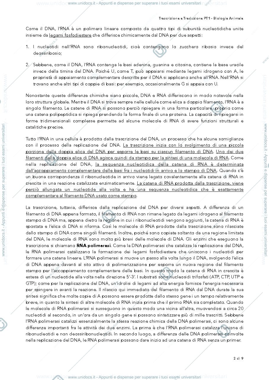 Anteprima pagina 2 — trascrizione biologia