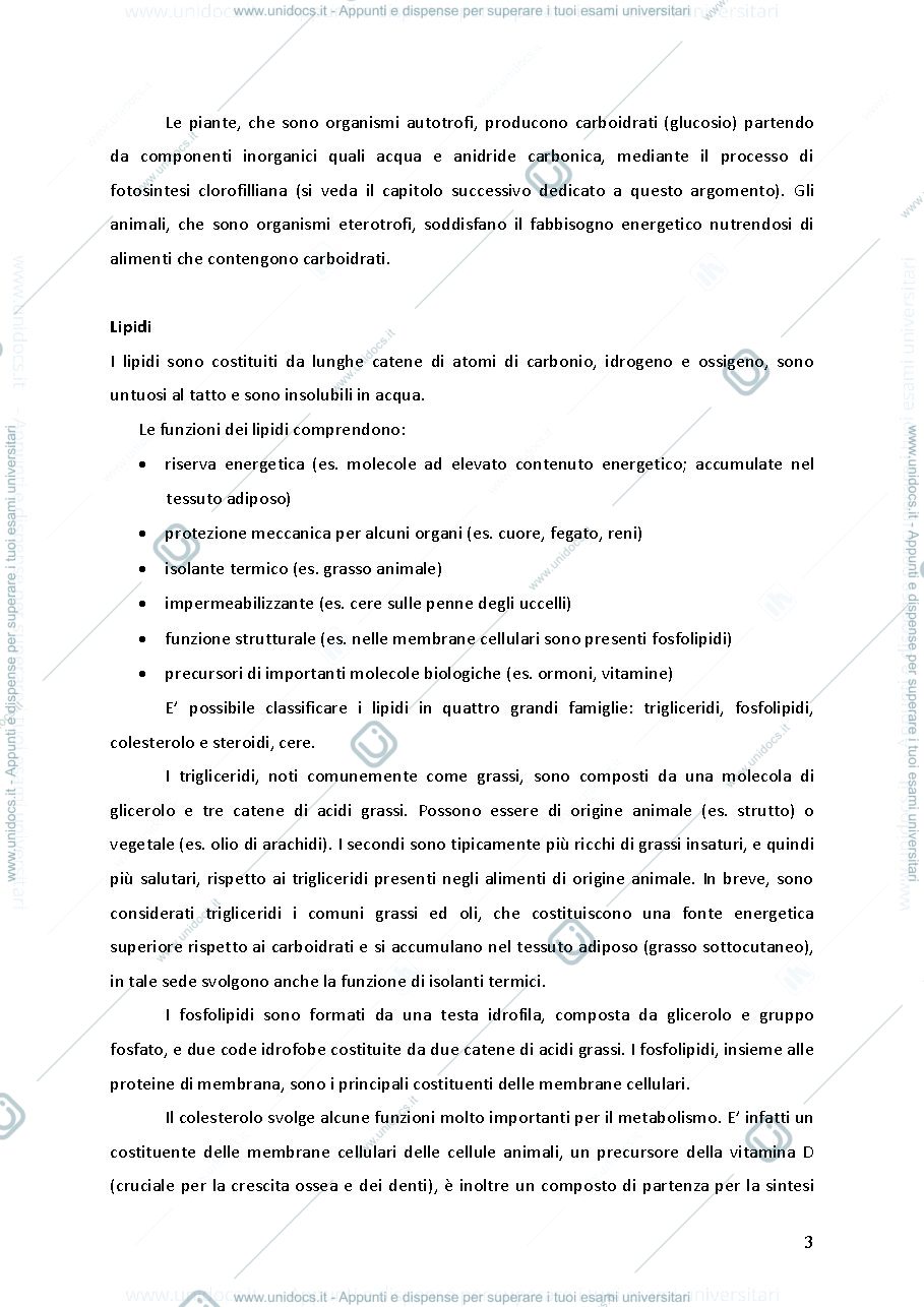Anteprima pagina 2 — Compendio di Biologia