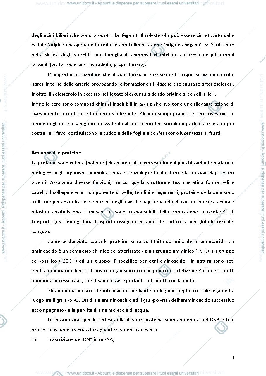 Anteprima pagina 3 — Compendio di Biologia