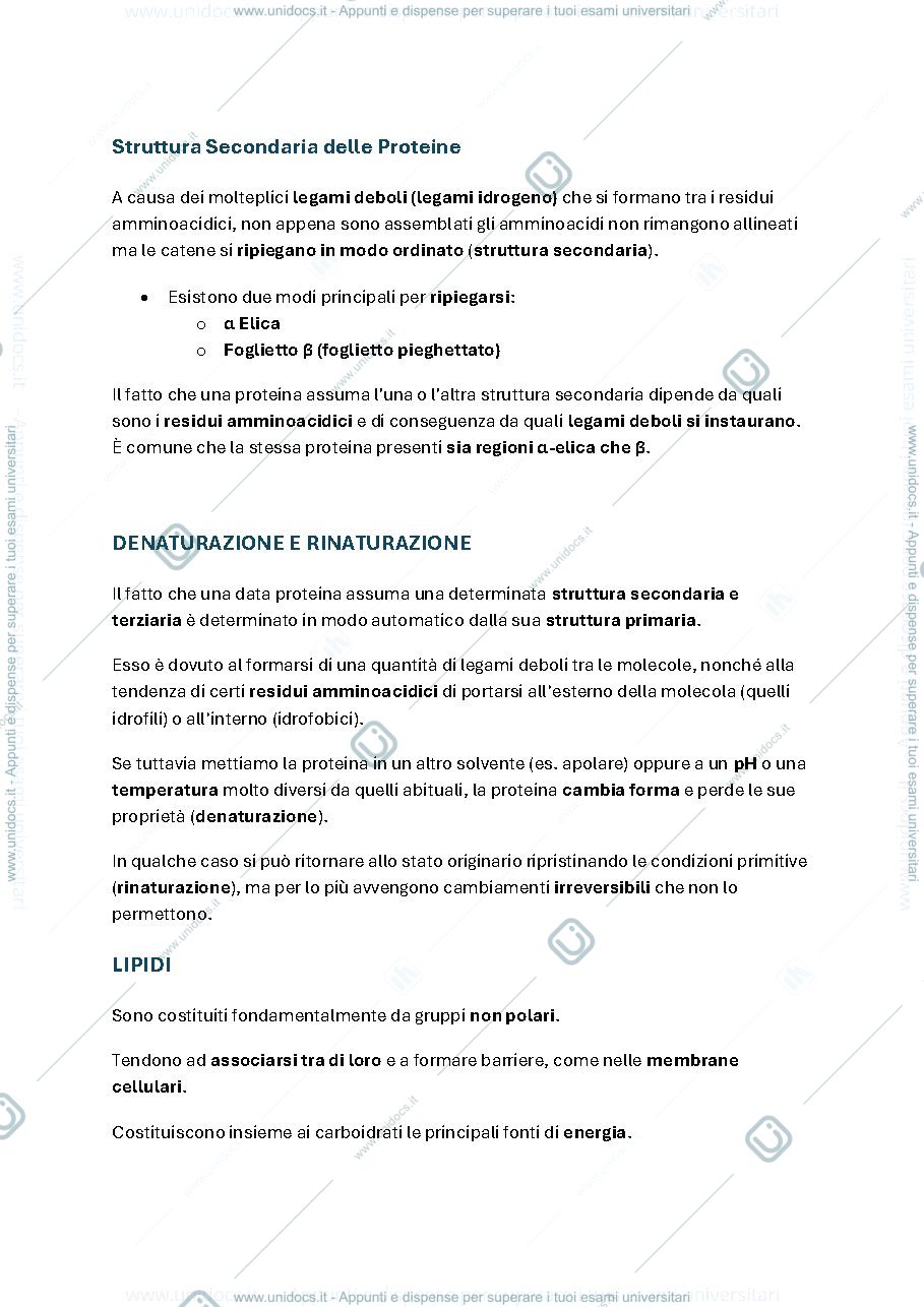Anteprima pagina 1 — Appunti di Biologia Applicata parte 4