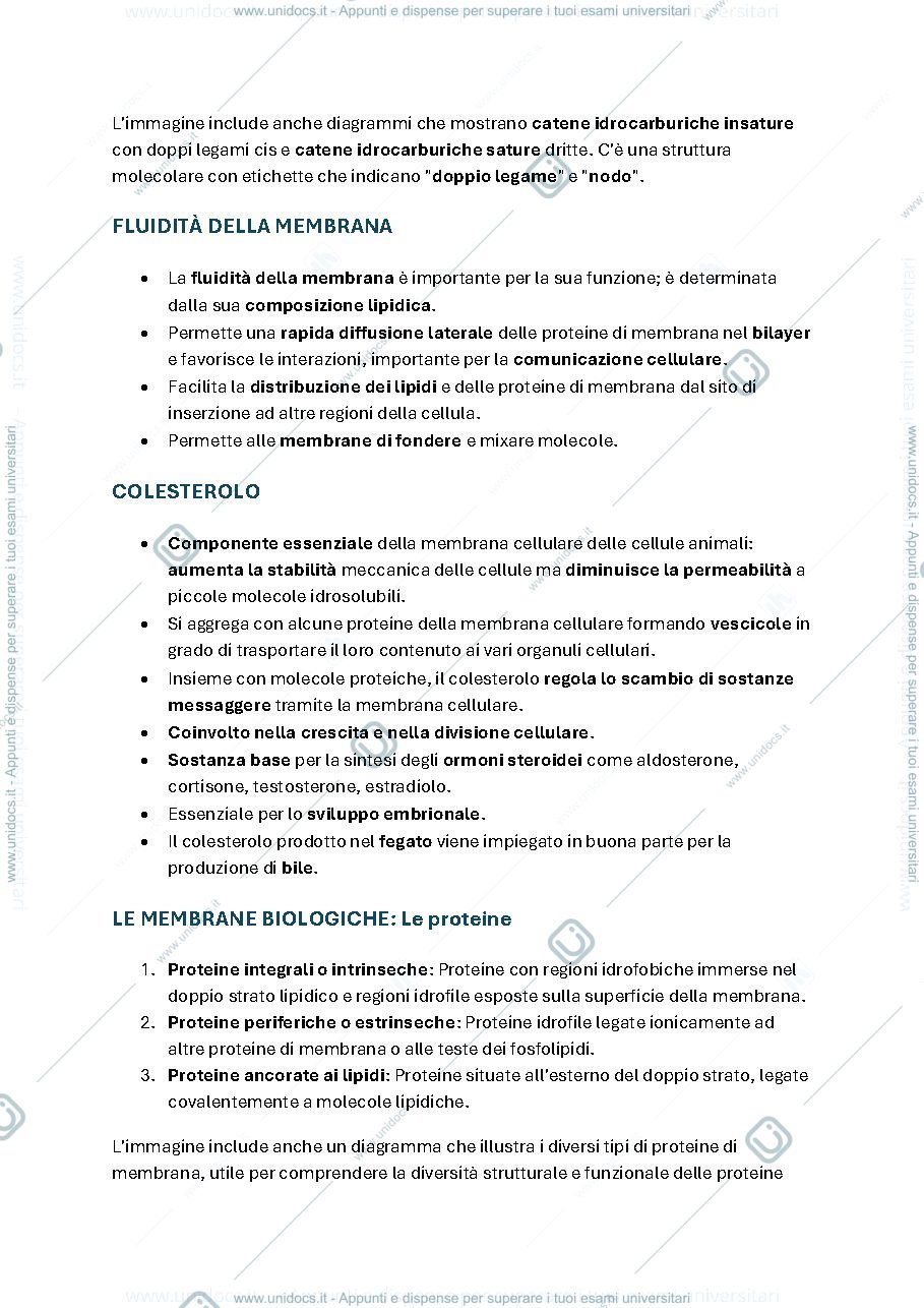 Anteprima pagina 3 — Appunti di Biologia Applicata parte 4