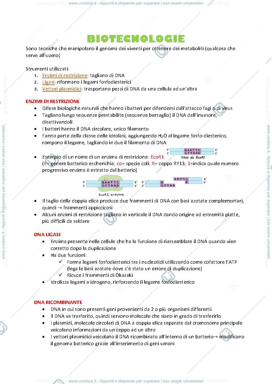 Anteprima pagina 1 — Biotecnologie