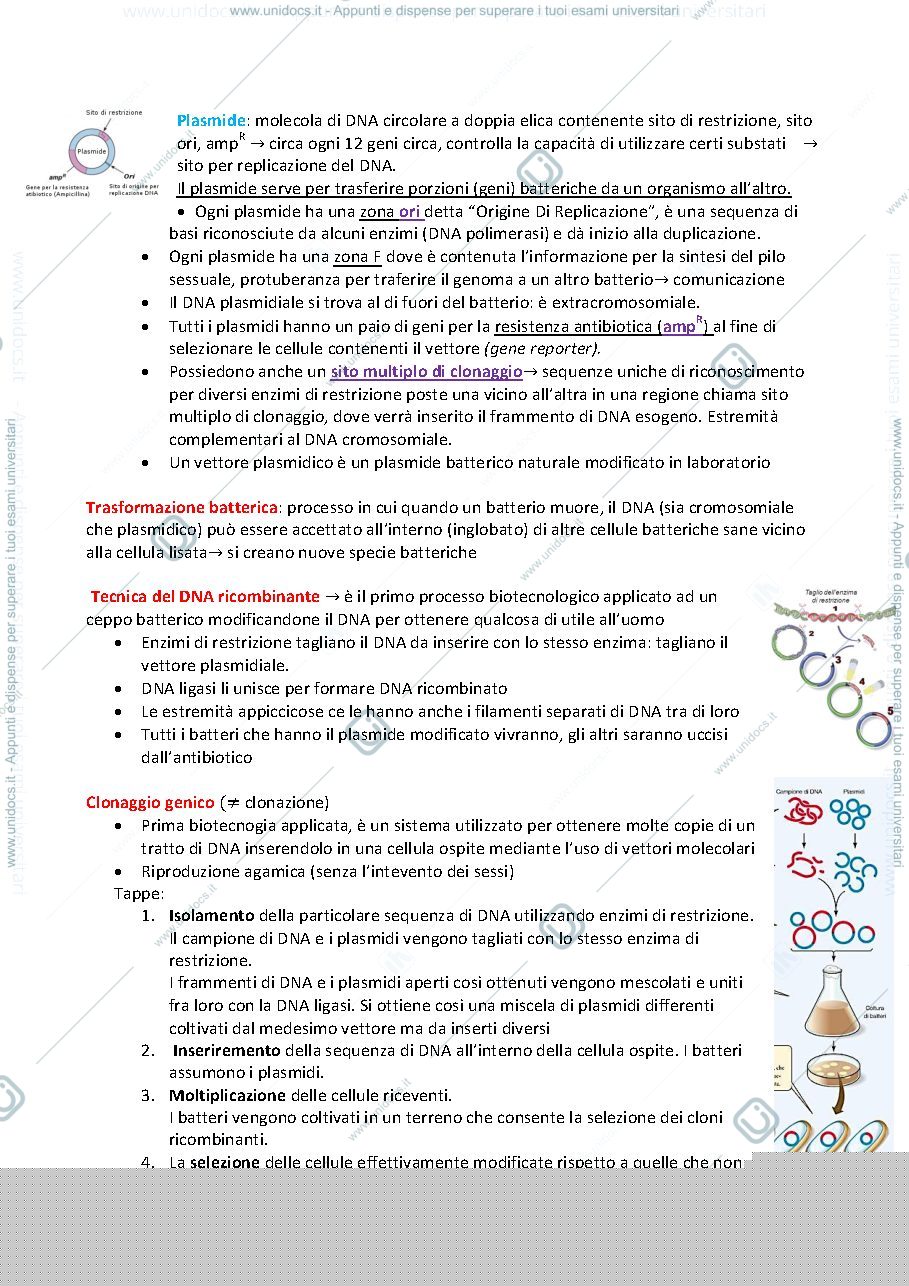 Anteprima pagina 2 — Biotecnologie