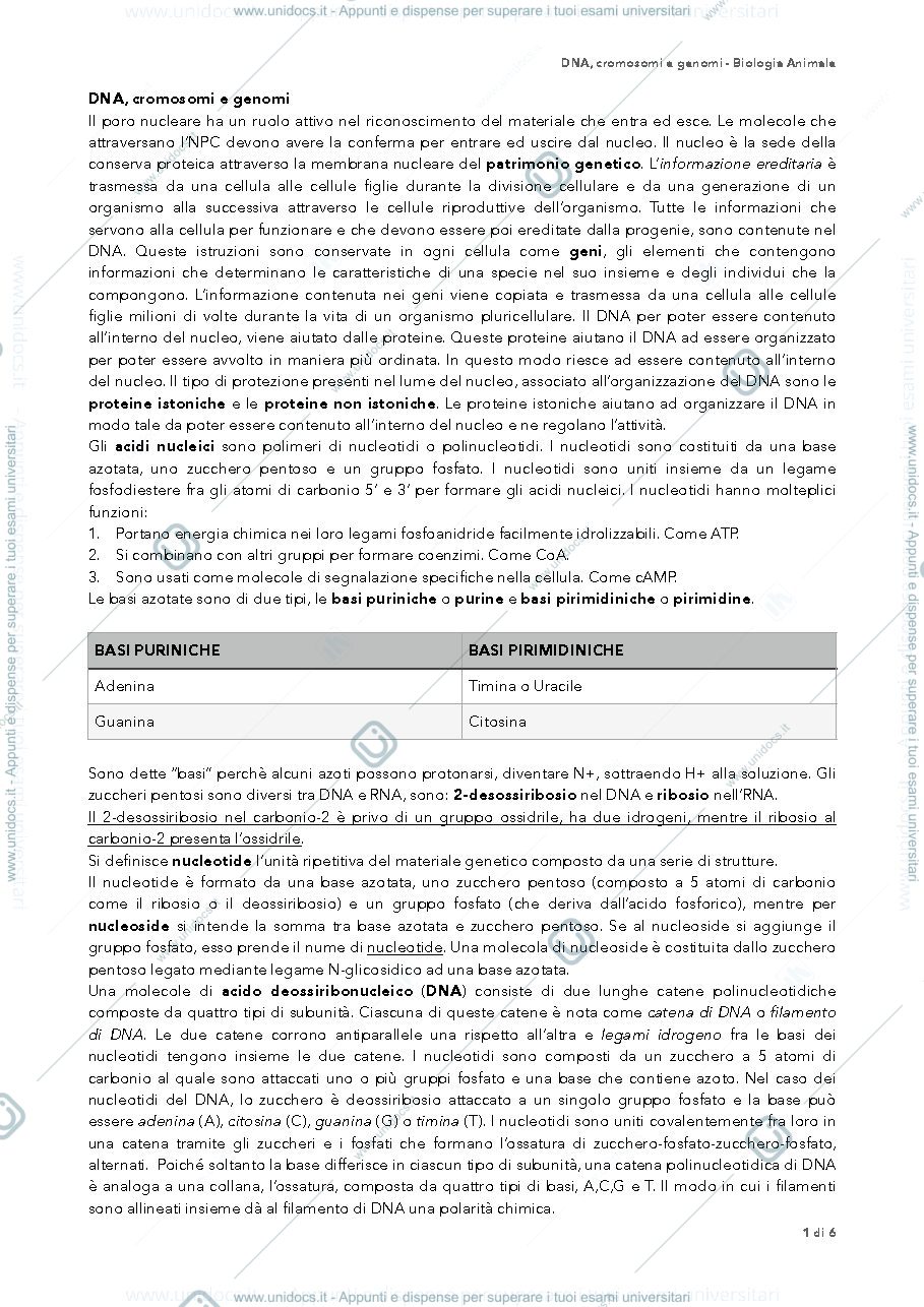 Anteprima pagina 1 — materiale genetico biologia 