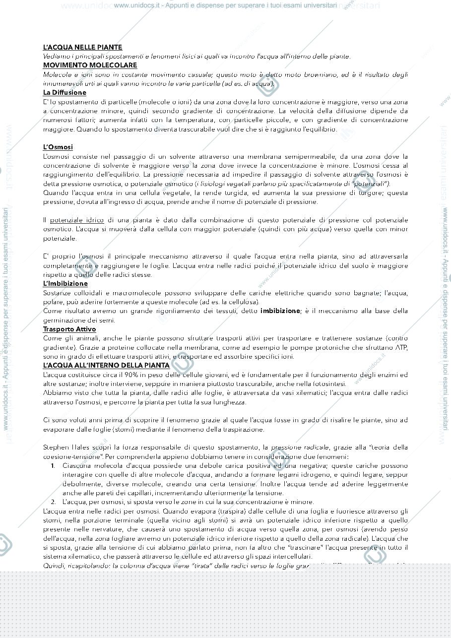Anteprima pagina 1 — Acqua nelle piante