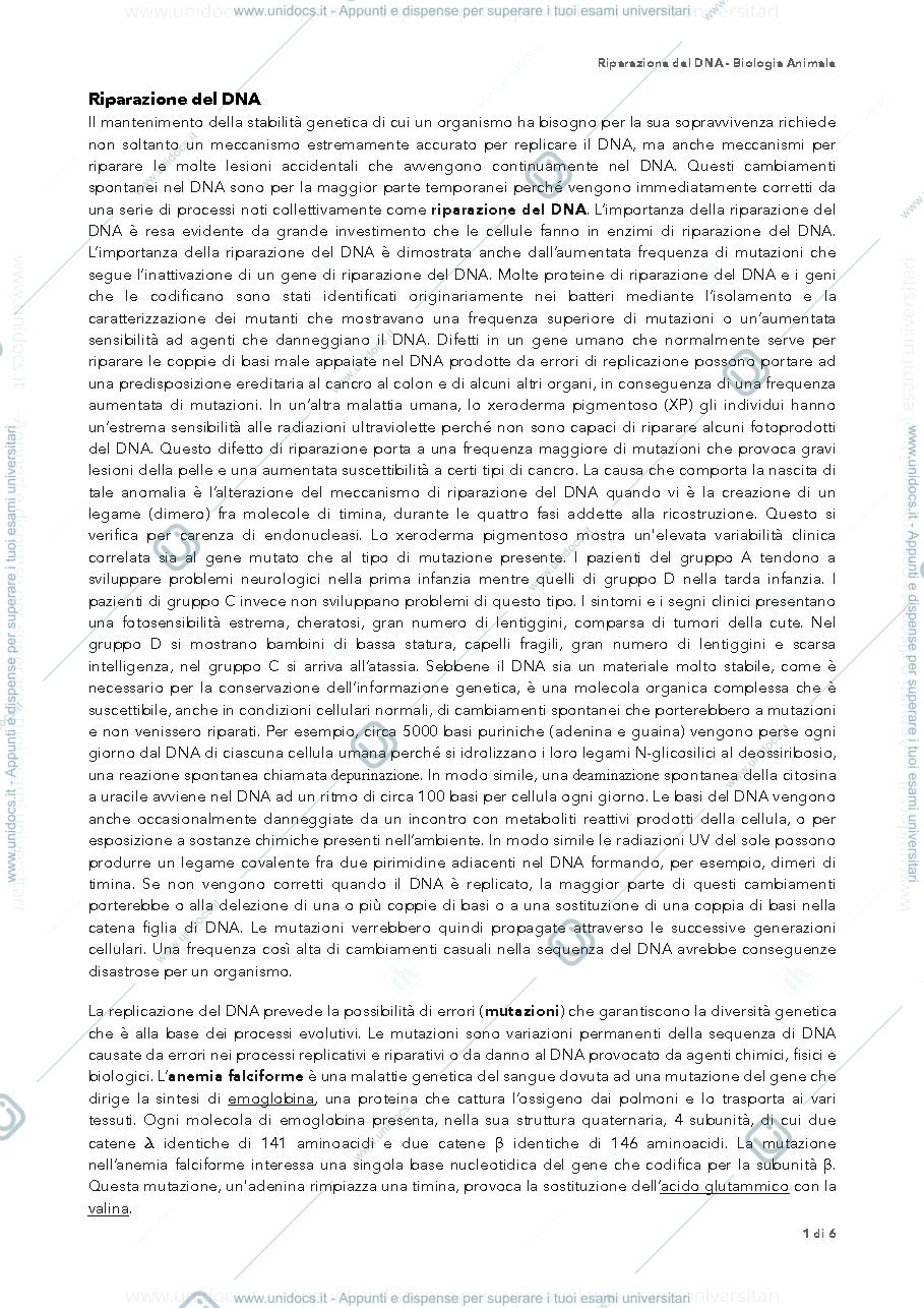 Anteprima pagina 1 — riparazione del DNA