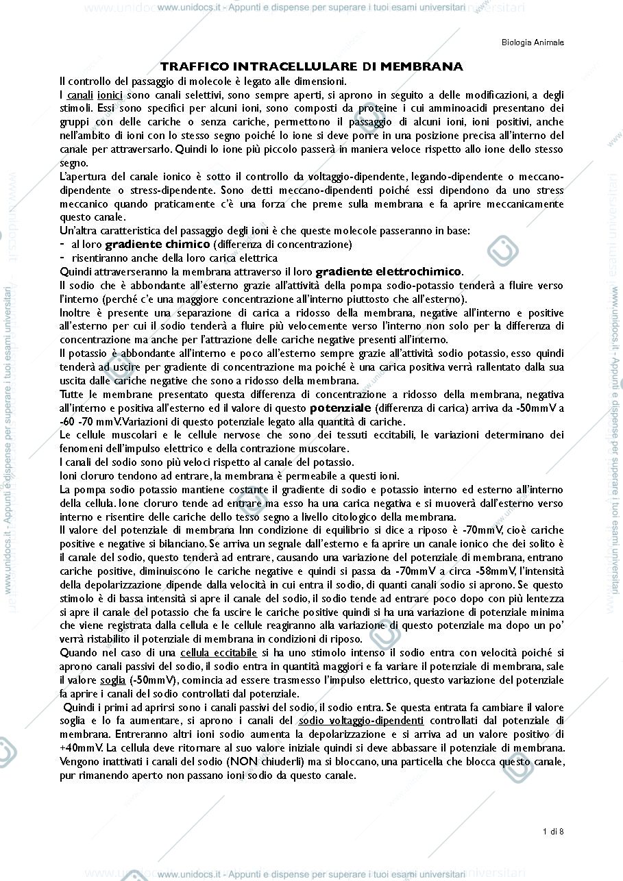Anteprima pagina 1 — trasporti biologia