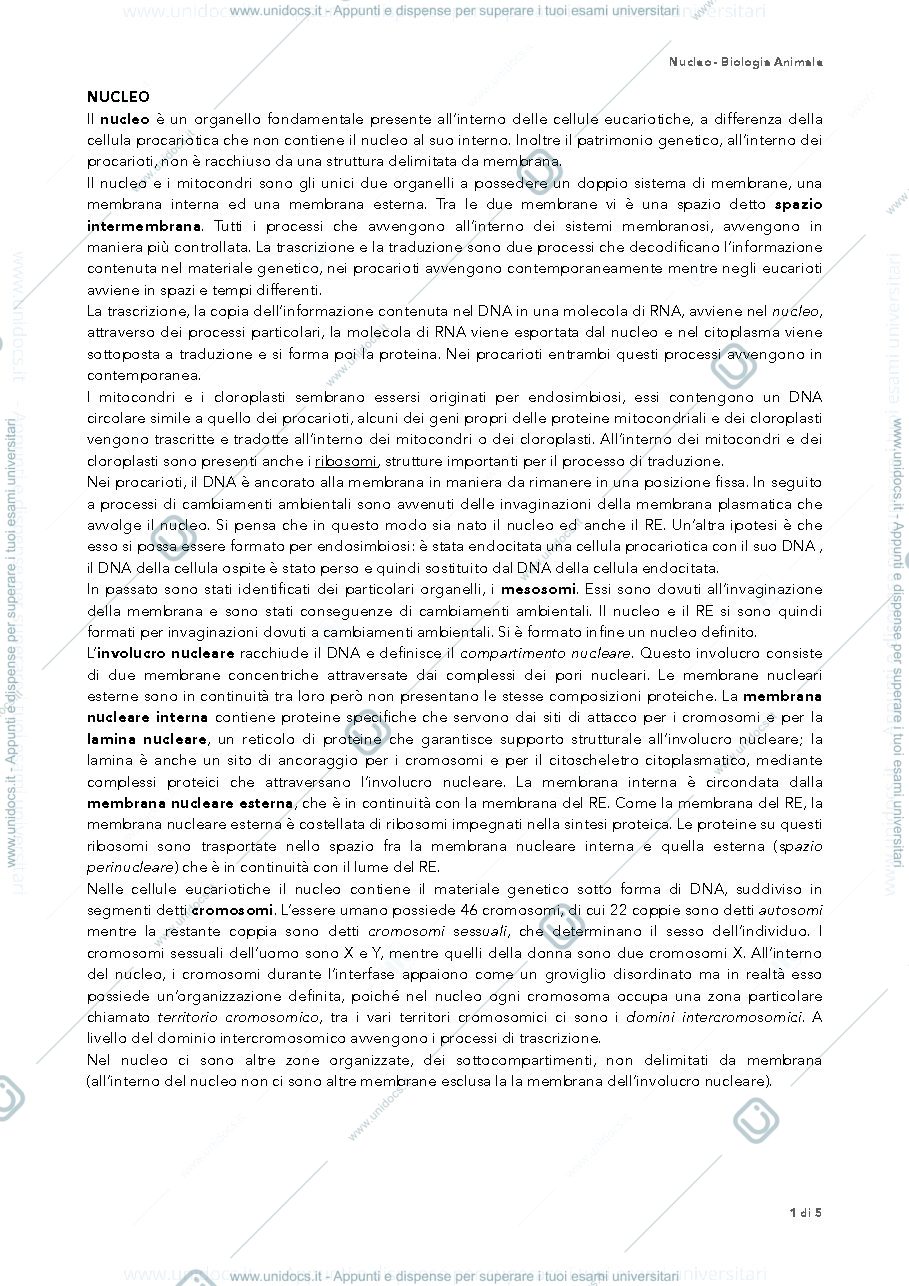 Anteprima pagina 1 — nucleo biologia 