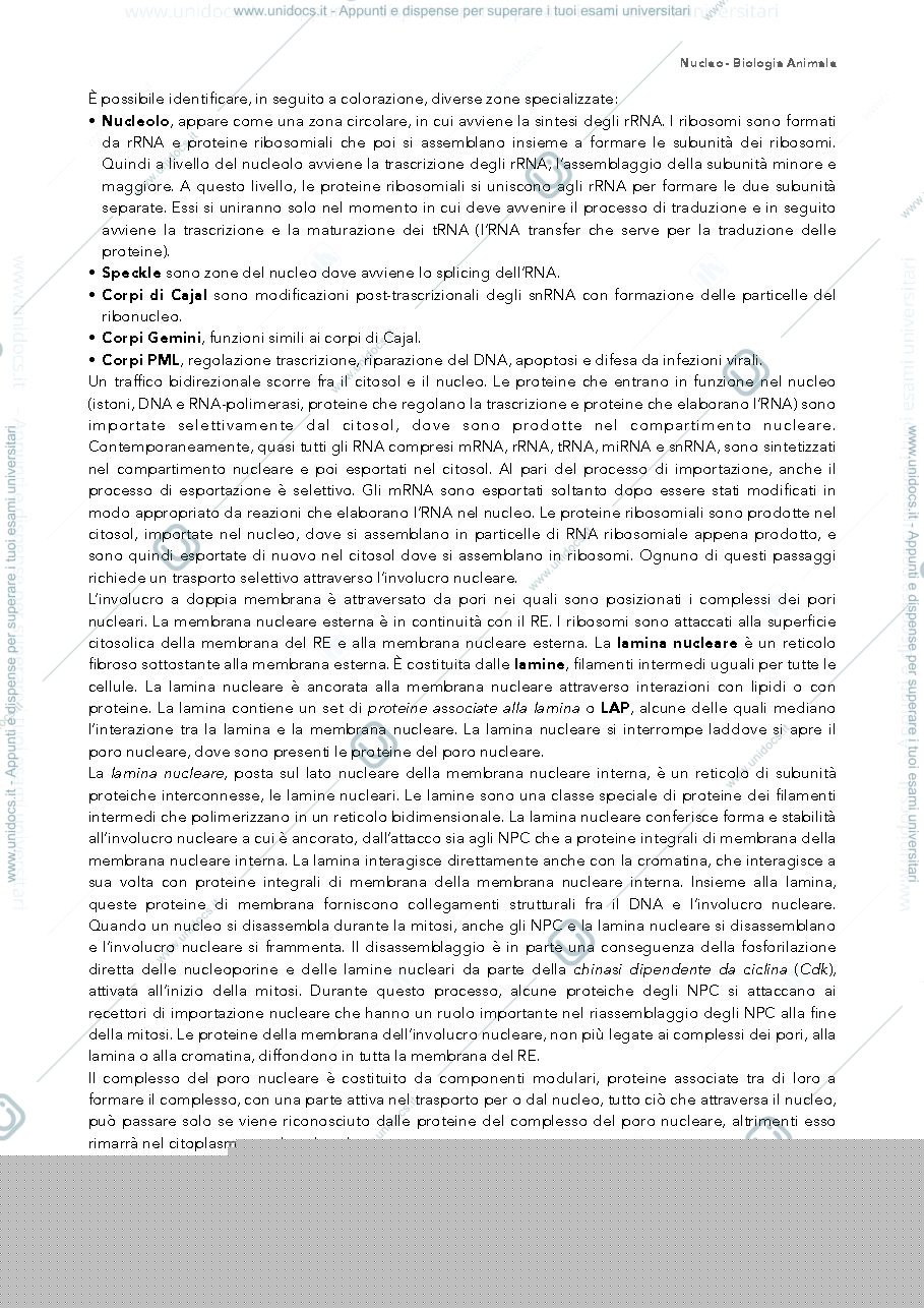 Anteprima pagina 2 — nucleo biologia 