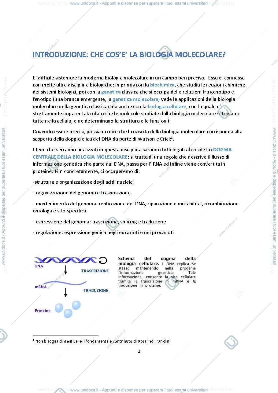 Anteprima pagina 1 — Biologia molecolare