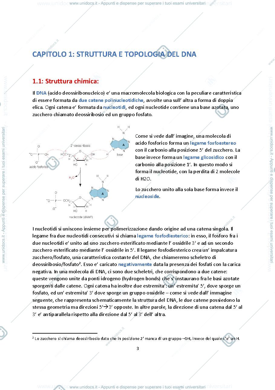 Anteprima pagina 2 — Biologia molecolare