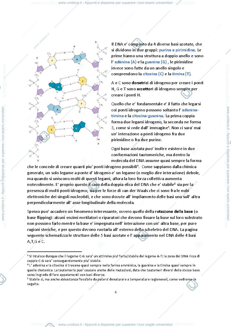 Anteprima pagina 3 — Biologia molecolare