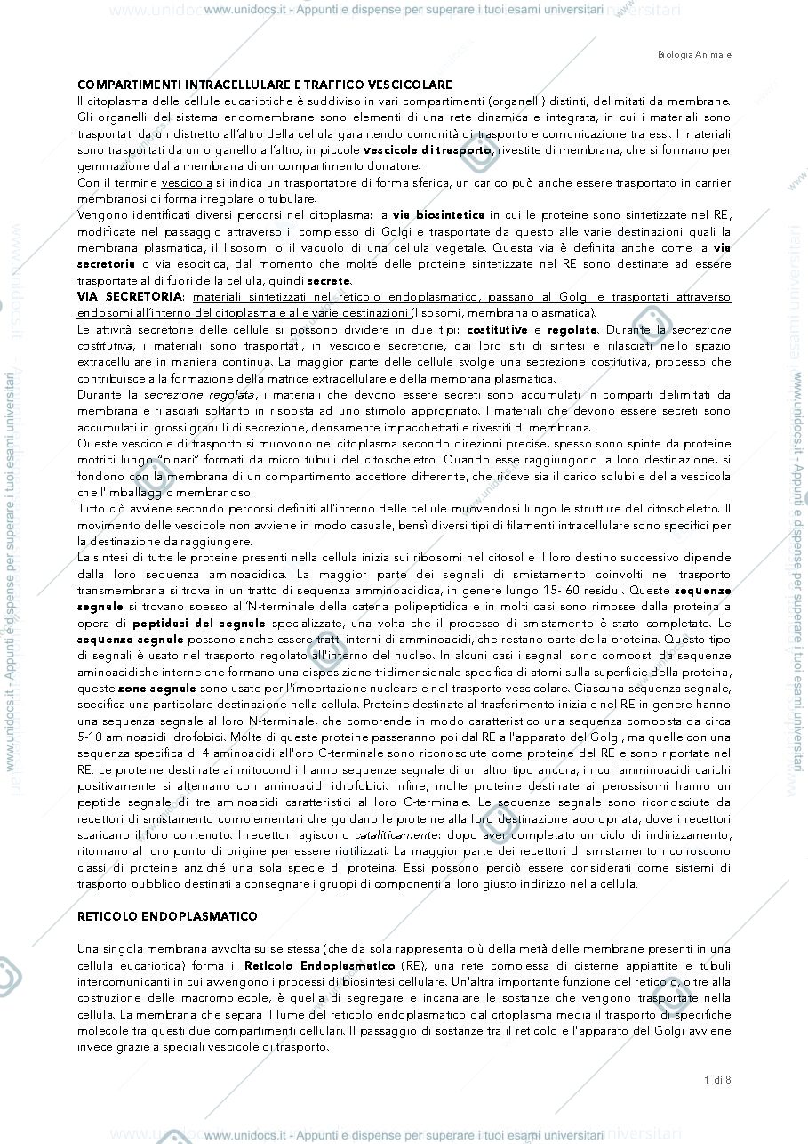 Anteprima pagina 1 — compartimenti intracellulari e traffico vescicolare