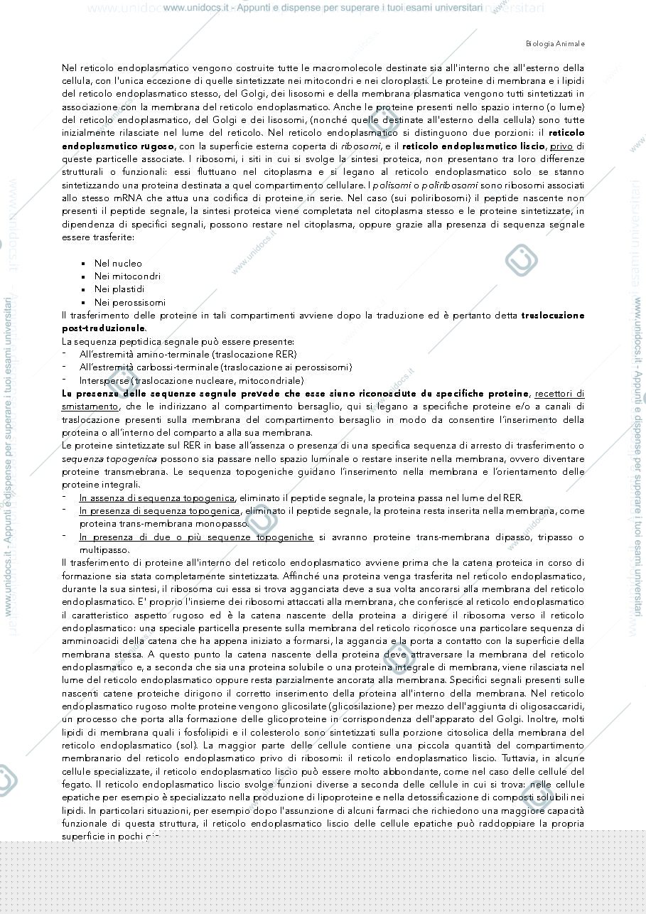 Anteprima pagina 2 — compartimenti intracellulari e traffico vescicolare
