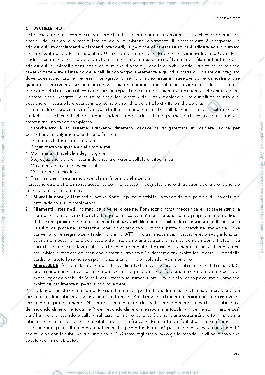 Anteprima pagina 1 — citoscheletro biologia