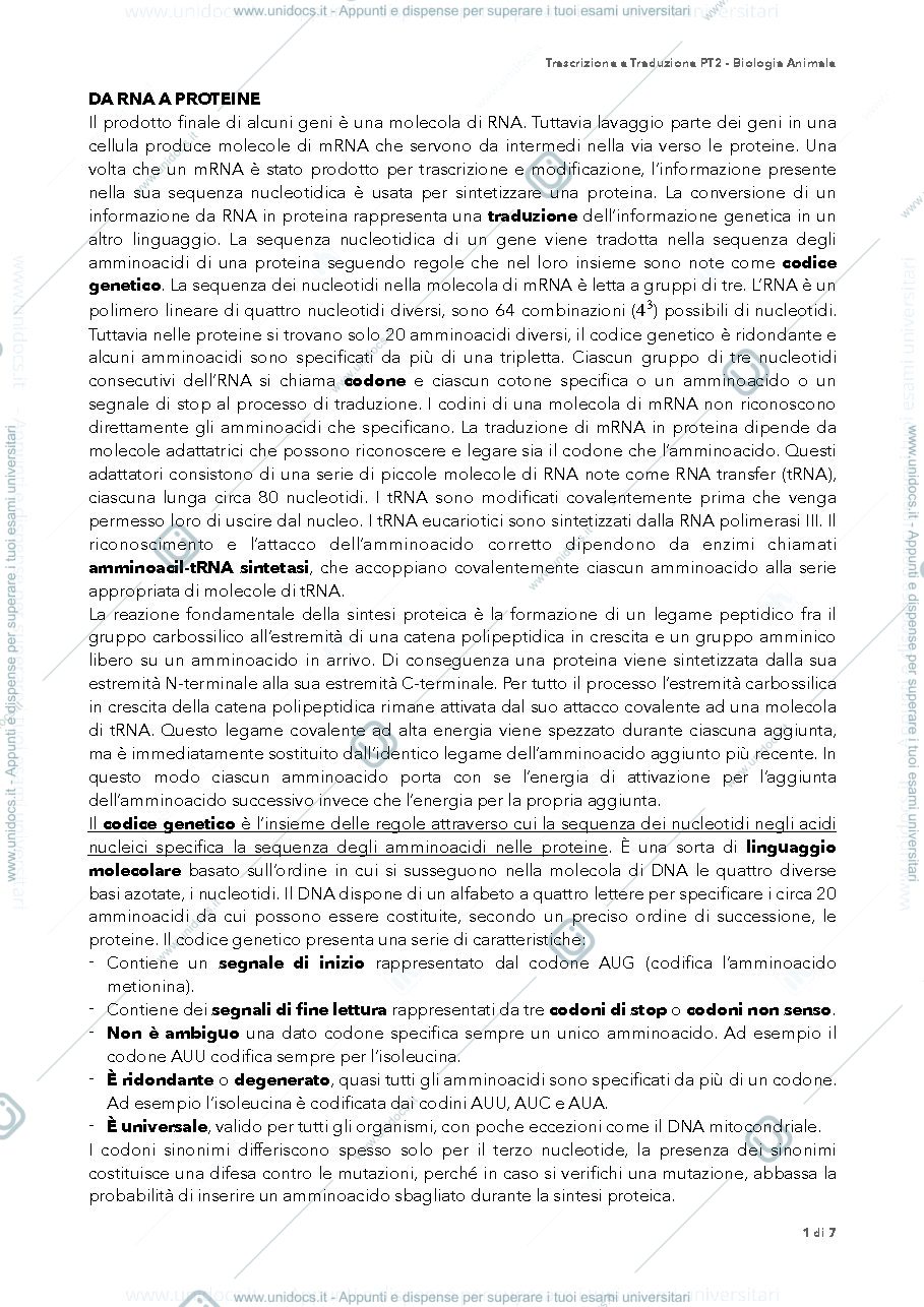 Anteprima pagina 1 — traduzione RNA BIOLOGIA