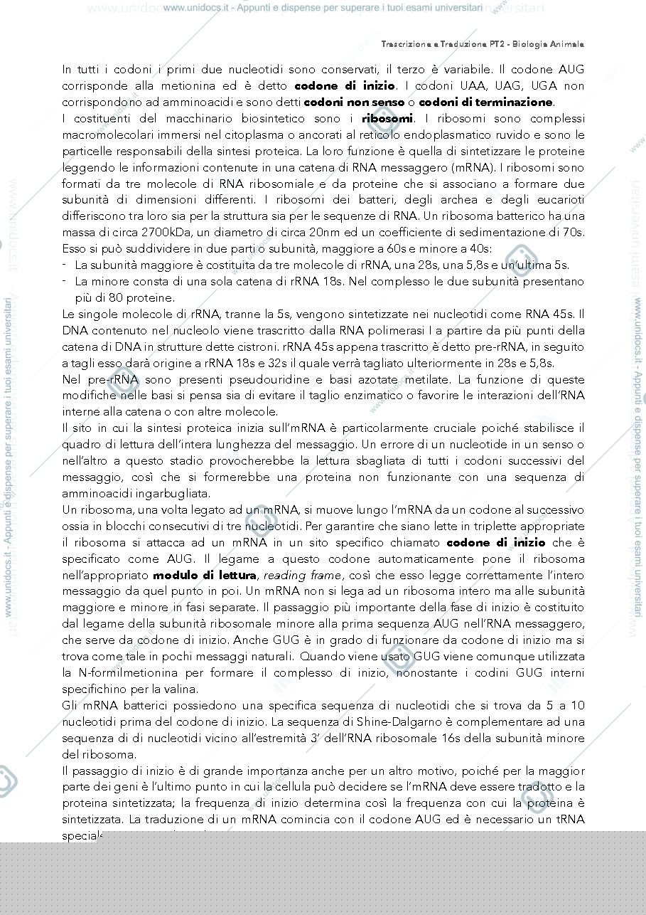 Anteprima pagina 2 — traduzione RNA BIOLOGIA