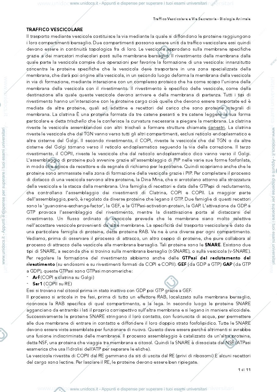 Anteprima pagina 1 — traffico vescicolare biologia