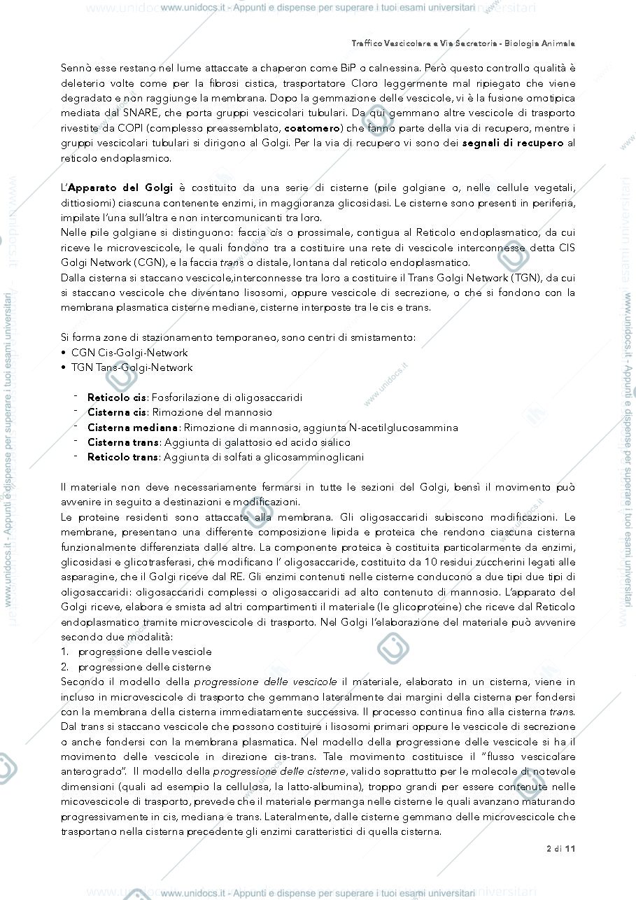 Anteprima pagina 2 — traffico vescicolare biologia