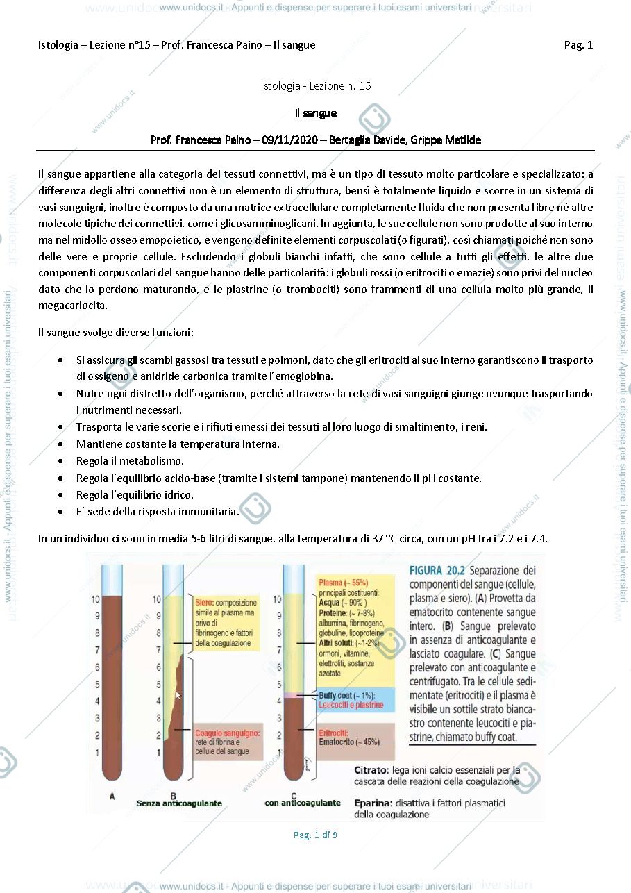 Anteprima pagina 1 — Il tessuto sanguigno 