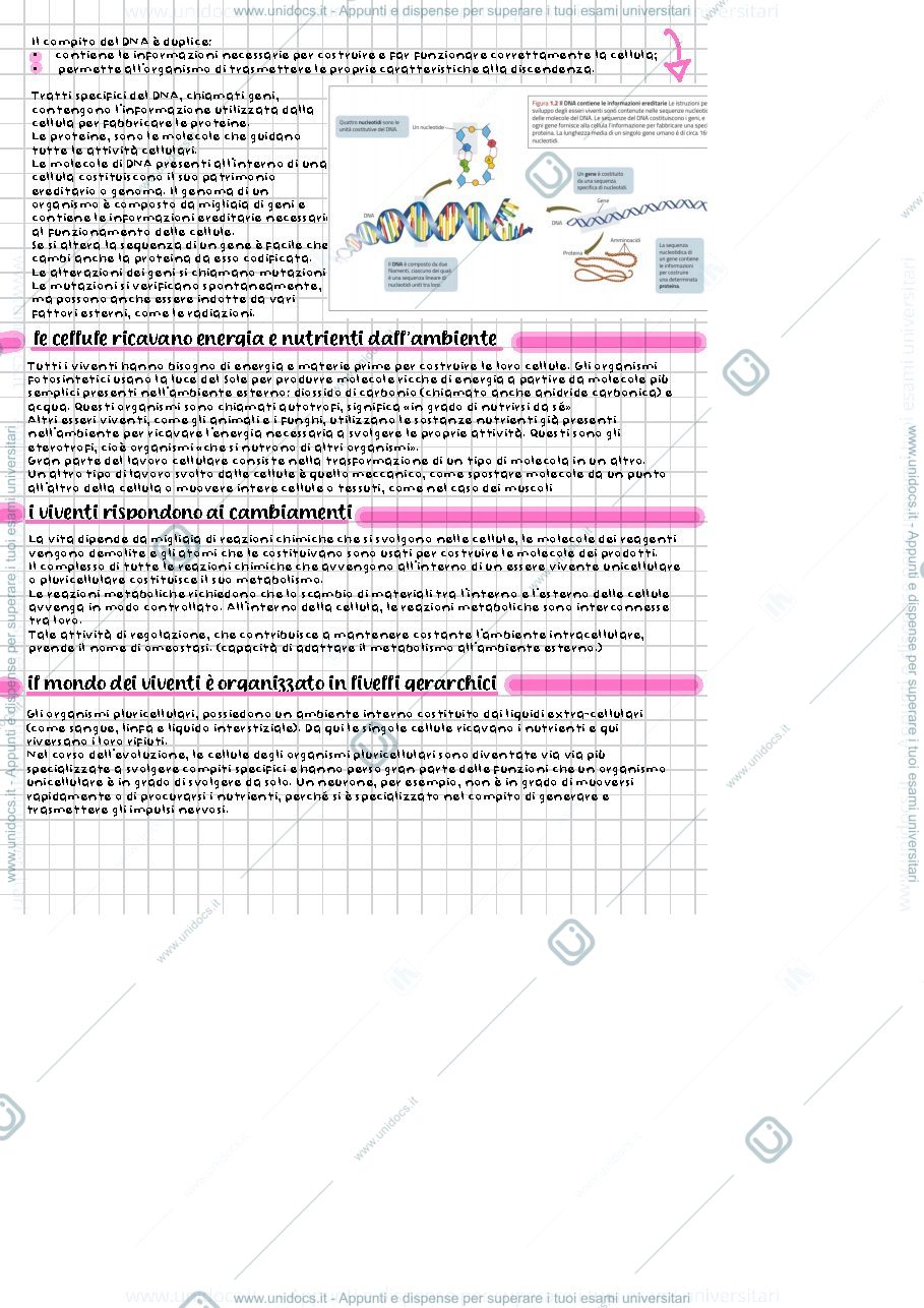 Anteprima pagina 3 — Biologia med primo anno