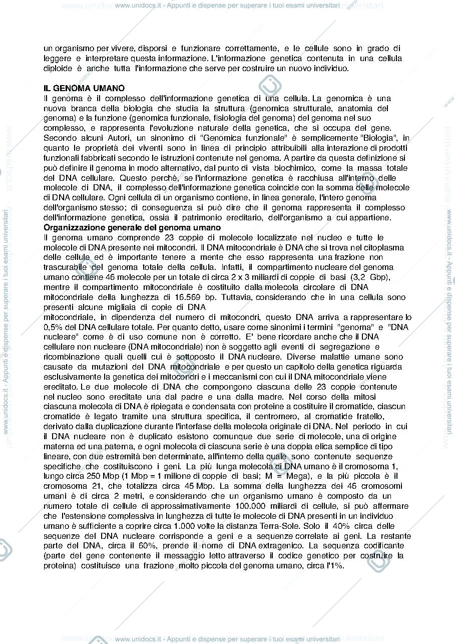 Anteprima pagina 3 — GENETICA