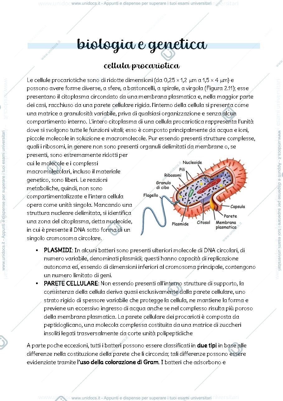 Anteprima pagina 1 — Biologia e genetica prima parte 