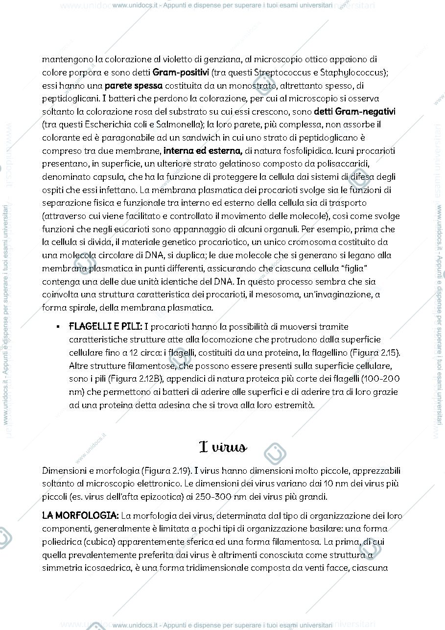 Anteprima pagina 2 — Biologia e genetica prima parte 