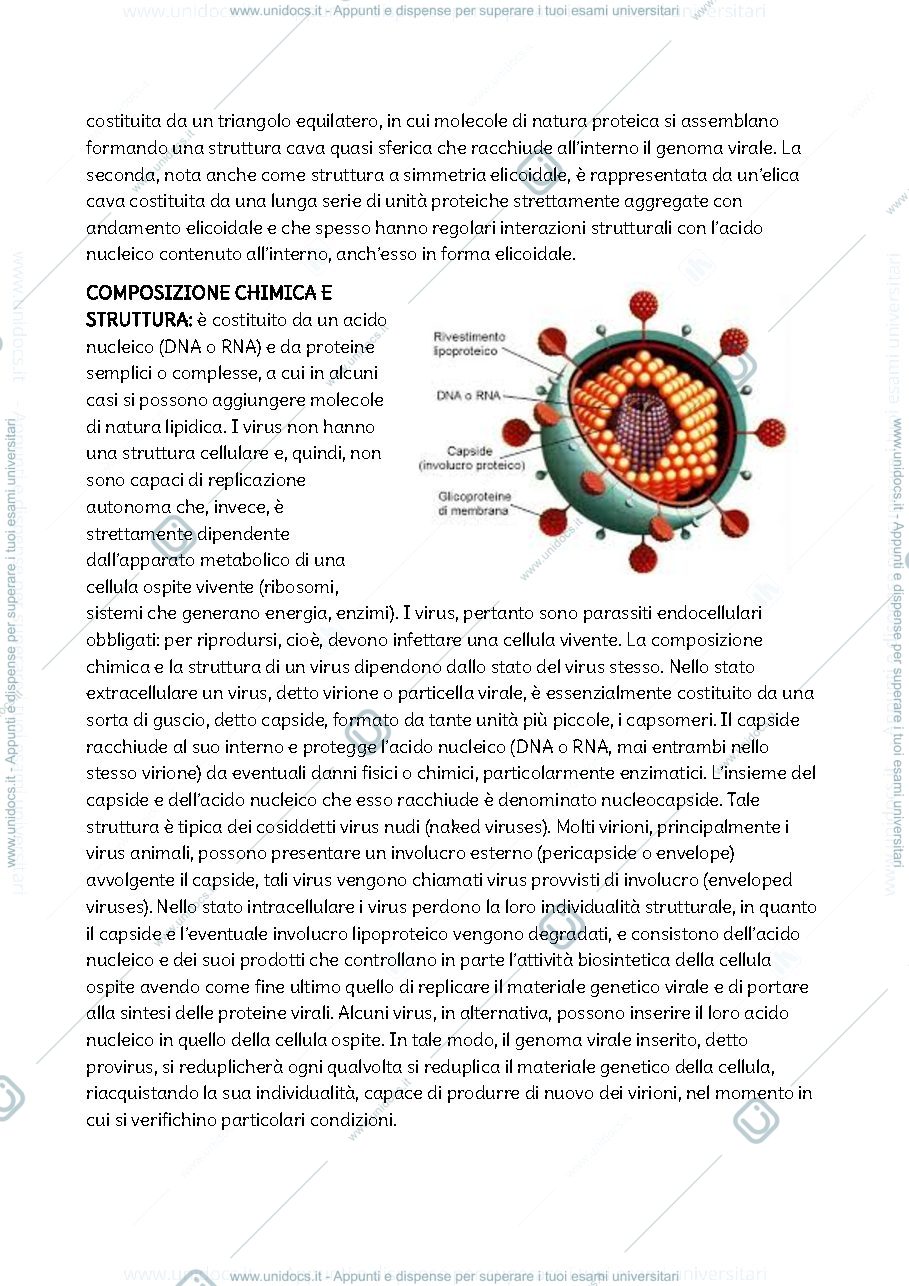 Anteprima pagina 3 — Biologia e genetica prima parte 