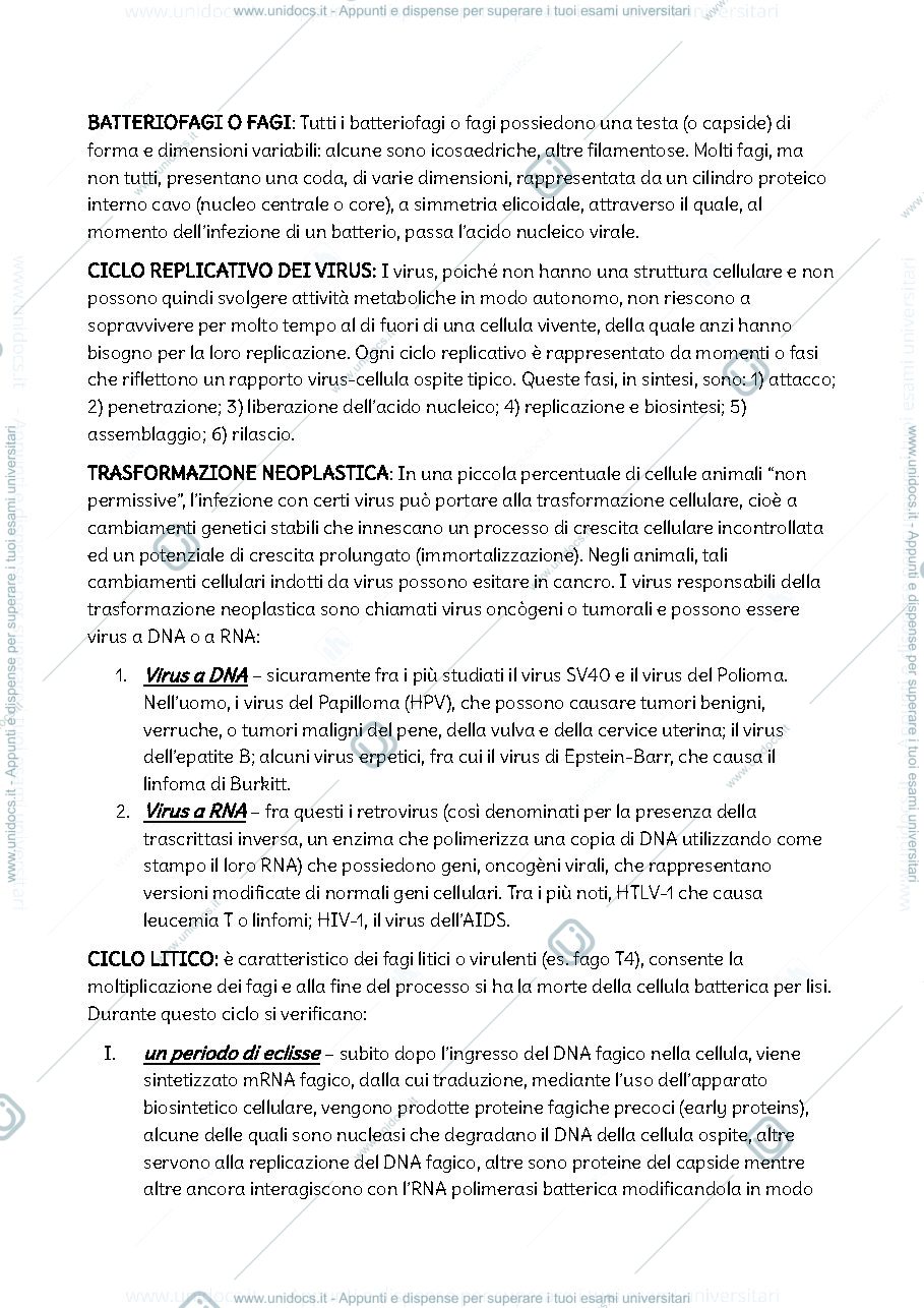 Anteprima pagina 4 — Biologia e genetica prima parte 
